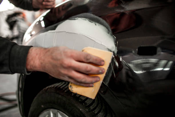 Best Mold Documentation for Insurance Claims  in Florence, MT