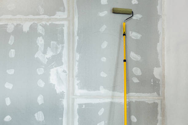 Best Black Mold Removal  in Florence, MT